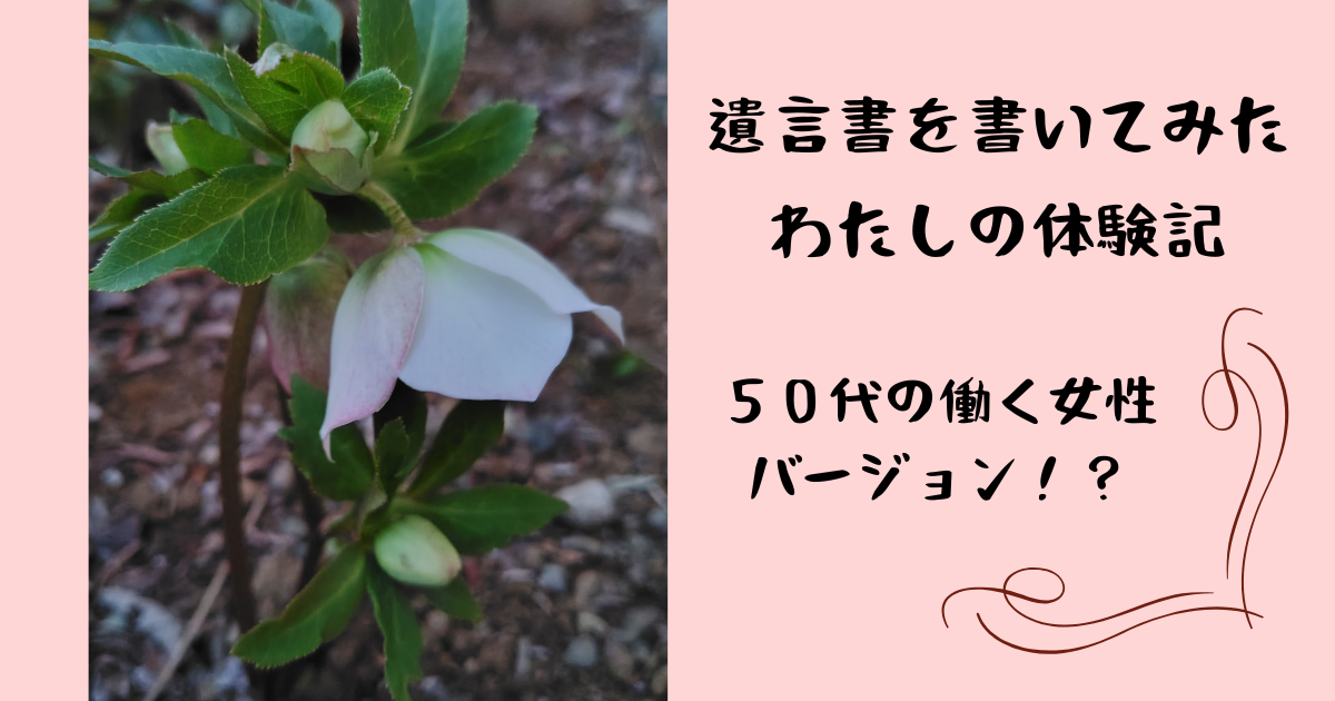 クリスマスローズの花の写真、ピンクの背景にブログタイトル