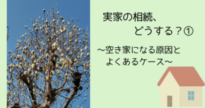 モクレンの樹の写真横にブログタイトル