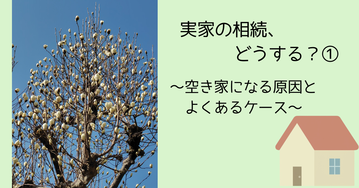 モクレンの樹の写真横にブログタイトル