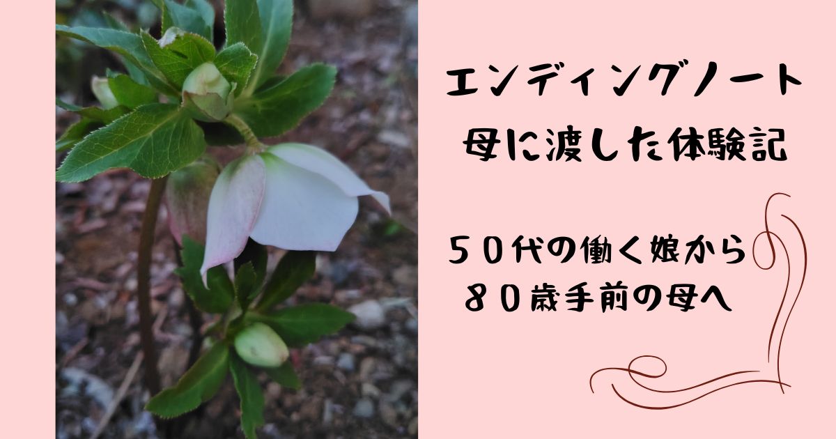 ブログタイトル、クリスマスローズの写真と共に